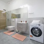 Apartment Millenium Spa-heroes Budapest