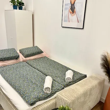 Millenium Spa-heroes * 布达佩斯